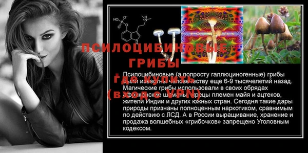 сатива Михайлов