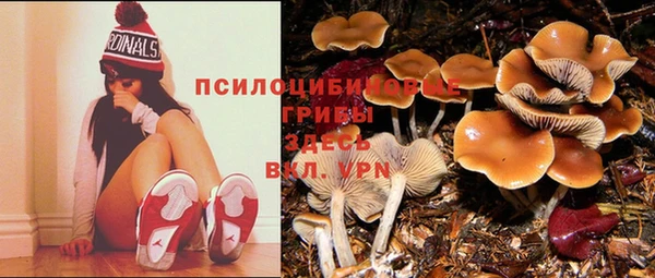 Альфа ПВП Навашино