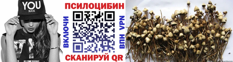 Псилоцибиновые грибы прущие грибы  продажа наркотиков  KRAKEN ССЫЛКА  Нижняя Салда 